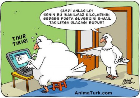 HAHAHA